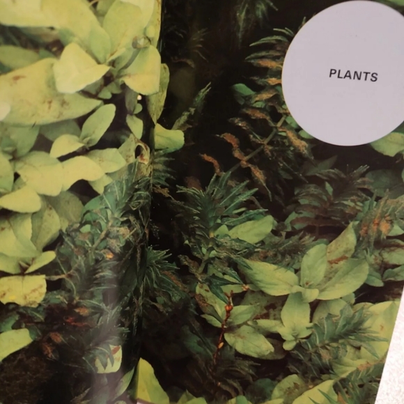 Simon + SchustersGuide To Freshwater and Marine Aquarium FishesIncluding plant - Picture 4 of 9